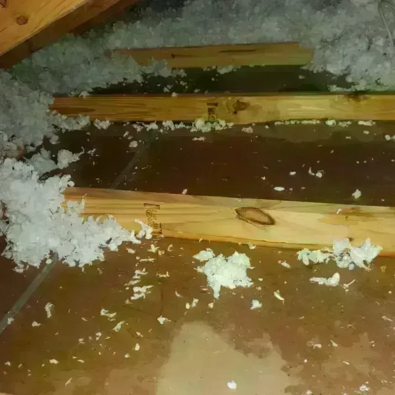 Attic Water Damage in Newport, SC