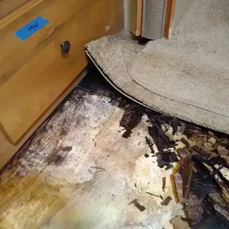 Wood Floor Water Damage in Newport, SC